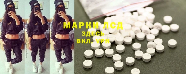 стаф Абинск
