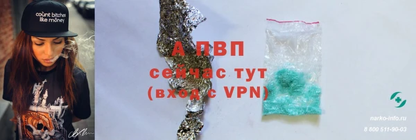 прущие крисы Абаза