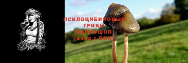 мдпв Покров