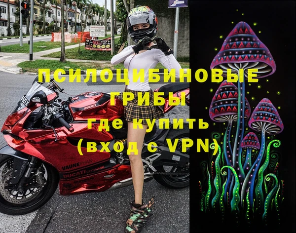 стаф Абинск