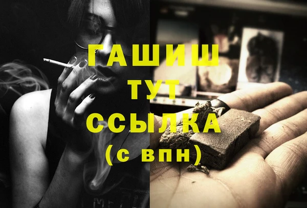 стаф Абинск