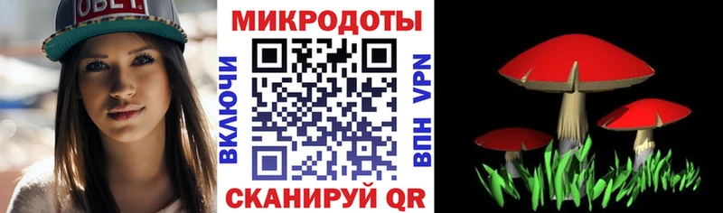 как найти наркотики  Кумертау  Галлюциногенные грибы Cubensis 