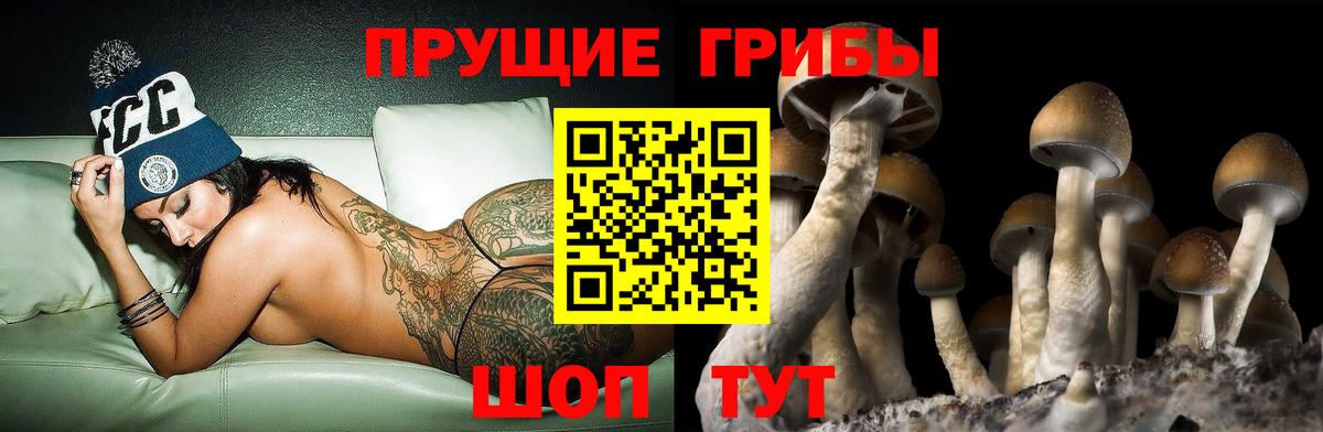 Галлюциногенные грибы Magic Shrooms Кумертау